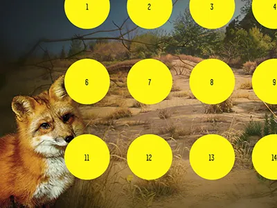 Fleet Fox collage fox gallery photo manipulation web design website