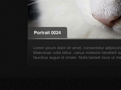 Image Portrait + Description black caption gray image leather portrait