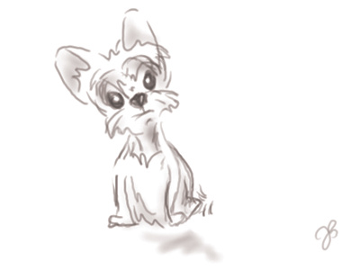 Little Louie animal character dog puppy sketch wacom yorkie