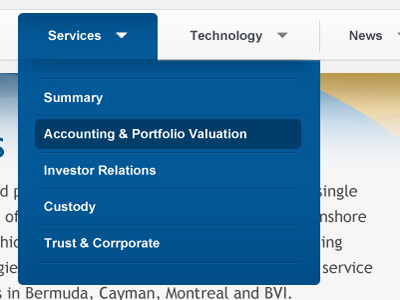 Services Dropdown dropdown navigation ui