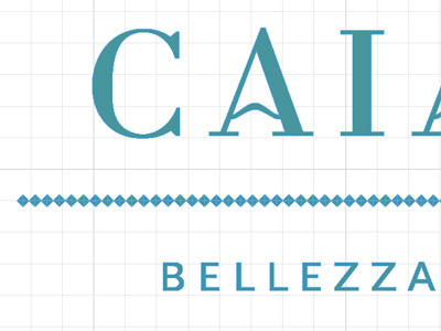 Caiazzo Shot graphic design grid logo tagline taylor type