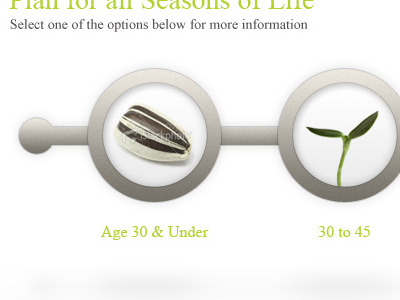 Beginnings of a lifecycle for Financial company website growth lifecycle nature