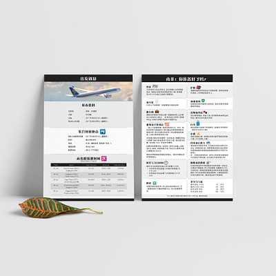 Flight Information Leaflet graphic design leaflet print design