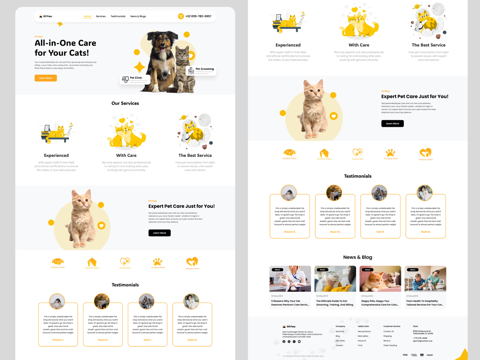 Example of Expert Landing Page Design