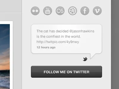 Shiny icons gray helvetica social media icons twitter