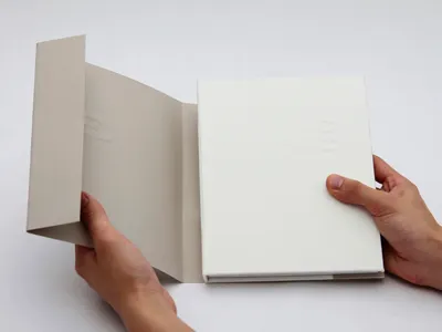 The Perks of Being a Wallflower