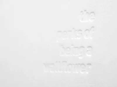 The Perks of Being a Wallflower novel pittsburgh stephen chbosky the perks of being a wallflower
