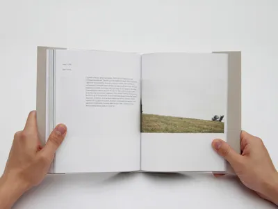 The Perks of Being a Wallflower