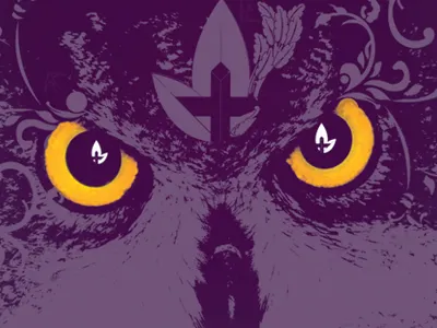 Owl eyes owl print texture