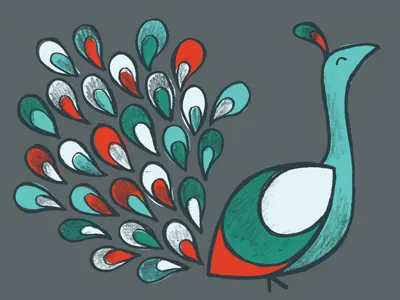 Peacock Illustration bird illustration invisibleelement peacock pencil sketch vector
