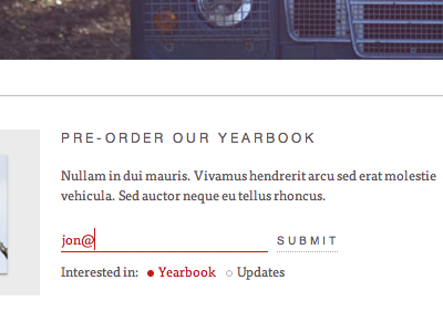 Yearbook Pre Order checkbox css3 ff tisa form helvetica lorem ipsum submit white white space