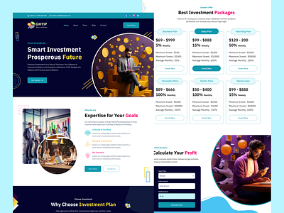 HYIP Investment Platform Website UI Design business cms crypto design graphic design hyip investment platform ui ux website