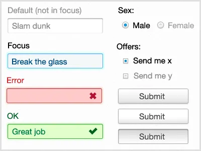 Simple Form Elements buttons checkbox form input radio