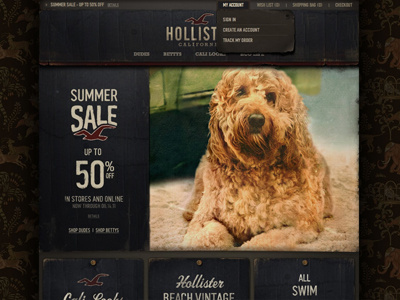 Hollister Homepage brand design hollister jeff jeff rigsby marketing rigsby site web work