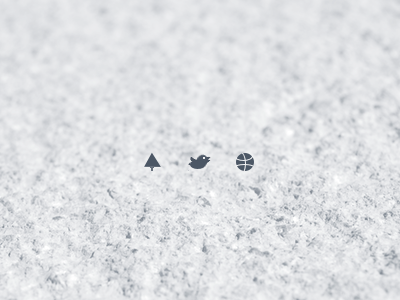 Social Icons dribbble forrst twitter