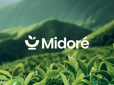 Midoré - Matcha Logo Concept beverage brand branding concept design identity leaf logo logo idea logo inspiration logo structure logo type logogram matcha monogram negative space logo product design safe zone tea typography