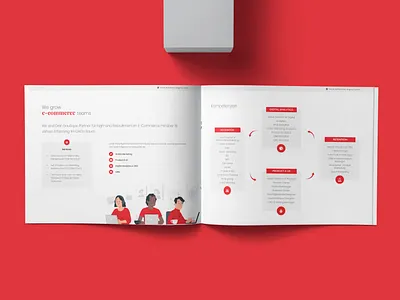 Promotional Materials for Adaptive Globalization adaptive globalization business profile lead generation promotional materials whitepapers