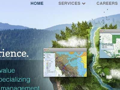 Forestry illustration web website