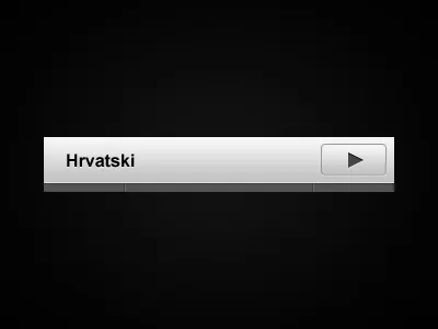 Hrvatski ui