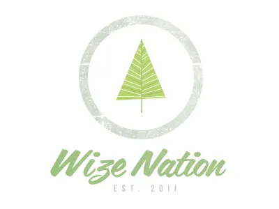 Wize Nation: A branding font logo typography