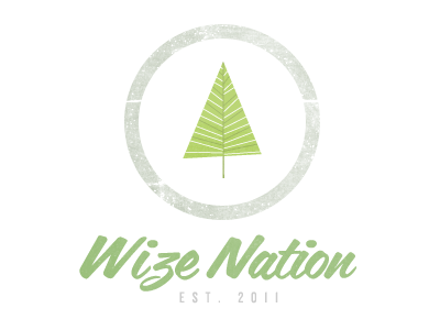 Wize Nation: A branding font logo typography