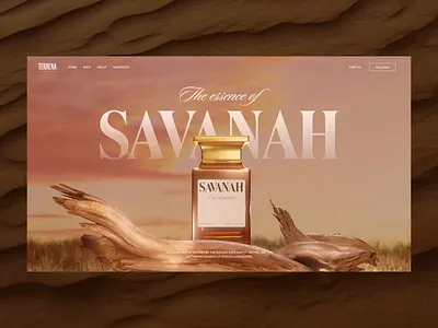 Savanah Intro Animation 3d after effects animation design motion graphics ui web