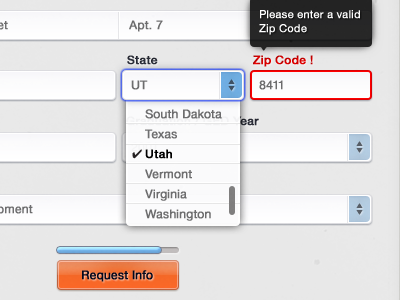Custom Web Form UI, In-Use forms html ui ux web design