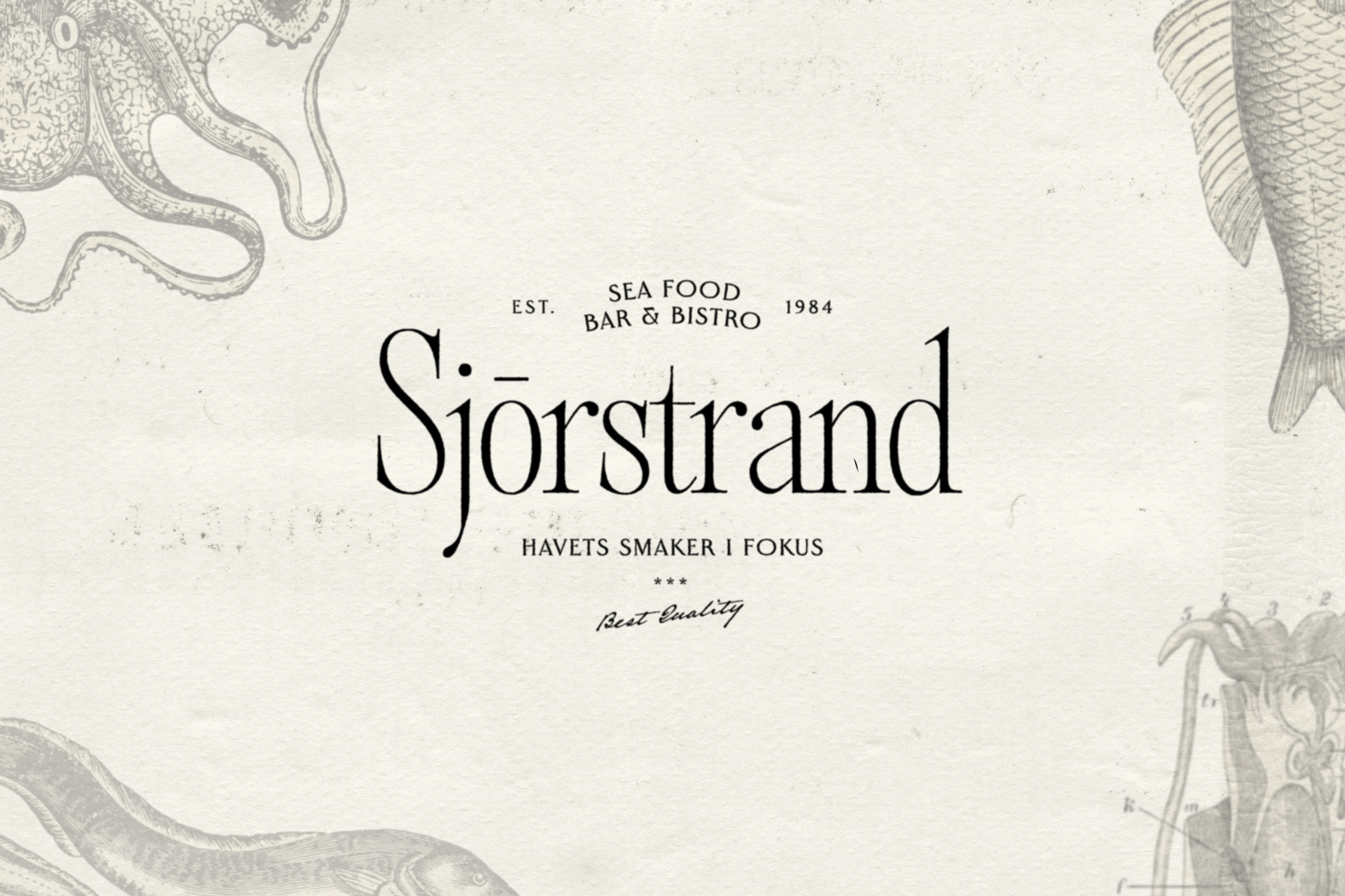 Alizée Serif branding creative market font logo design type design typeface