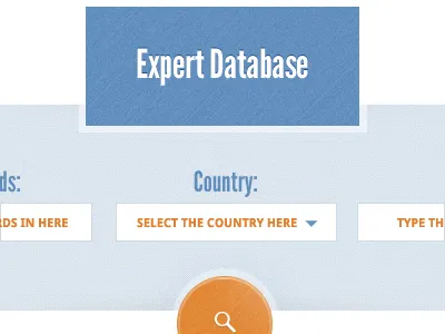 Database Search blue button database form orange search texture ui