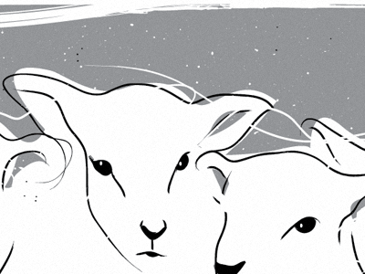 Momentus Beginnings illustration lamb momentus momentusproject