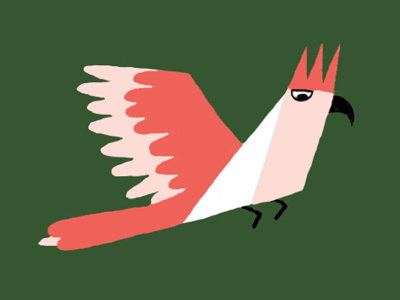 Cockatoo drawing illustration