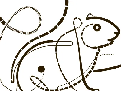 Squirrel fun for album artwork. black line squirrel vector white will scobie