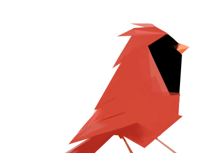 Cardinal cardinal illustration