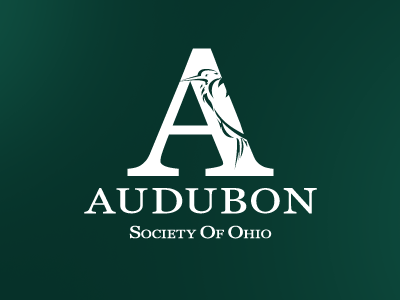 Audubon One Color 216aj audubon bird birds brand branding cleveland design green heron icon identity logo mark nature ohio society type wordmark