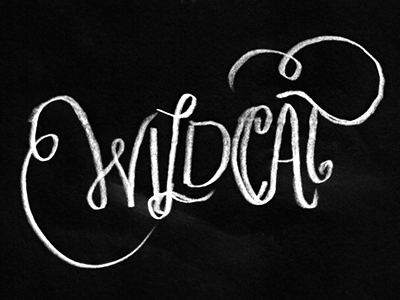 Wildcat lettering type