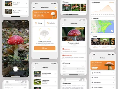 Mushroom Identifier App ai app app design design identifier interface ios mobile mushroom photo scan scanner ui ux