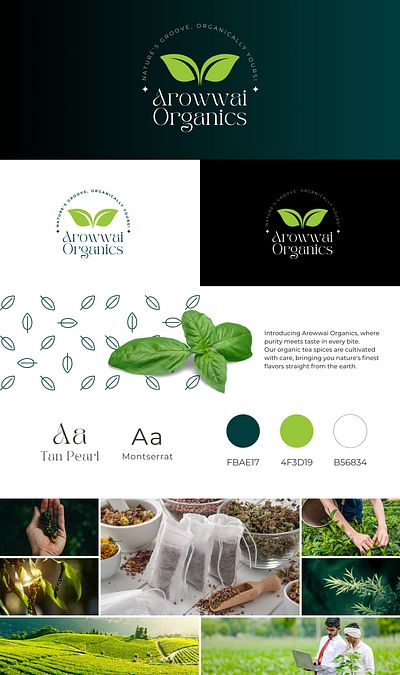 Organics Branding Kit Design branding branding kit graphic design logo organic