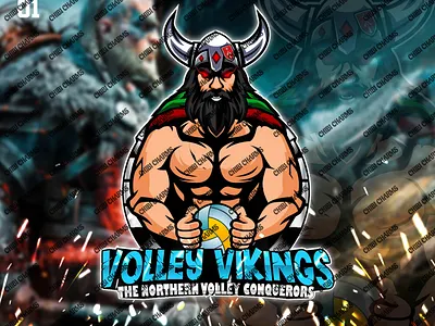 VOLLEY VIKINGS LOGO