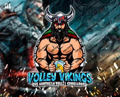 VOLLEY VIKINGS LOGO