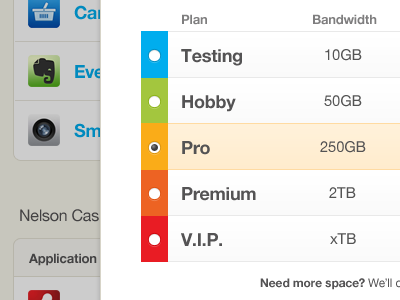 Pro-Choice checkout colorful highlight interface radio button table ui