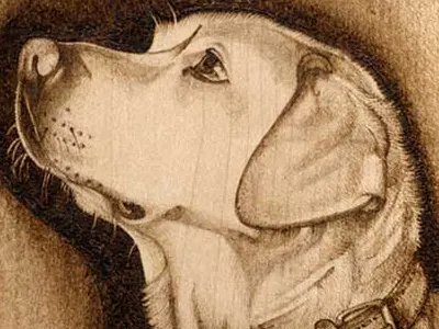 Published Pyrographic Art Study art pyrography