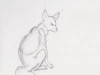 Fox Sketch for Book animal deer drawing sketch