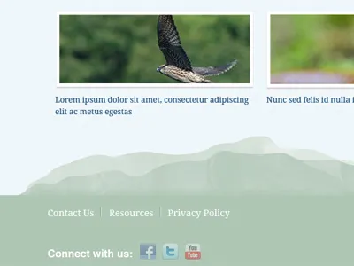 ASF Footer blue green non profit texture ui web