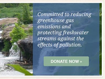 ASF Banner blue button green non profit ui web