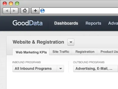 GoodData Dashboard View Mode application blue dashboard grey header web app
