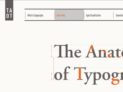 The Anatomy of Typography typography web