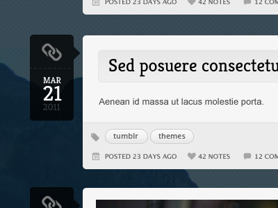 Tumblr Theme date pictos post tags theme tumblr