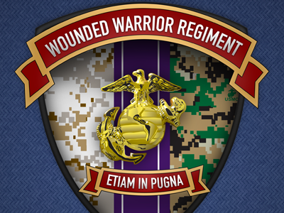 Military Badge 2