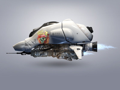 Flight Vehicle illustrate