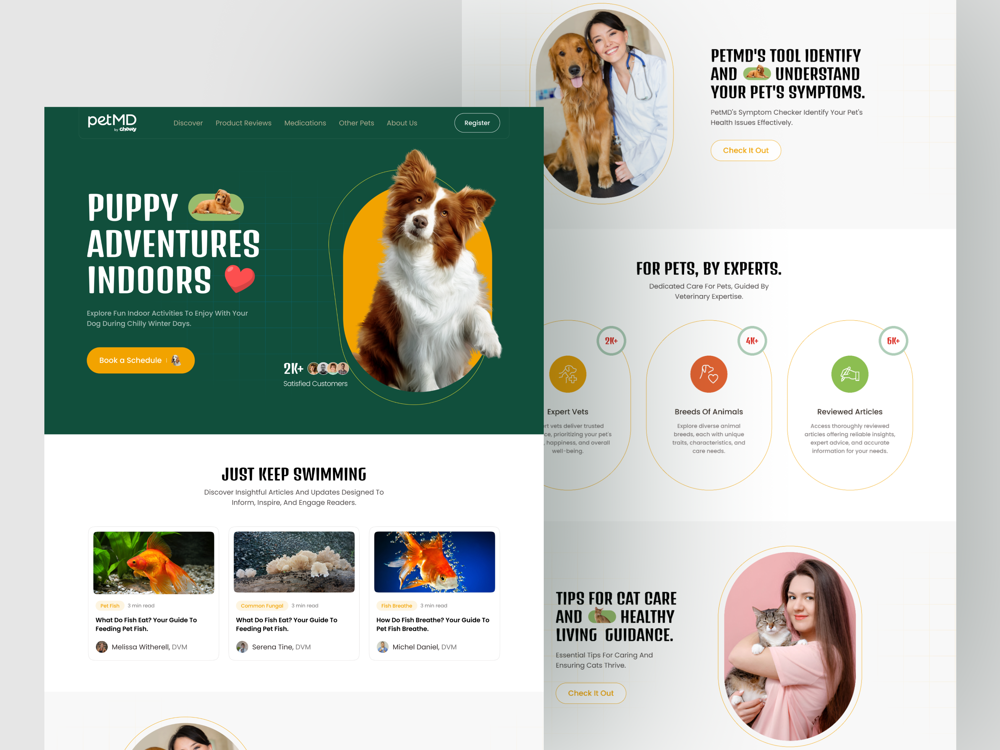 Example of Shopify Website Design And Development